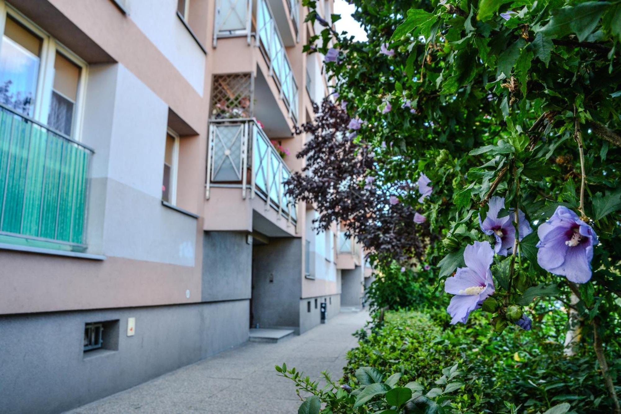 Alabas - Modern In Historic Wroclaw! Apartament